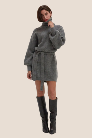 Audrina Turtleneck Dress