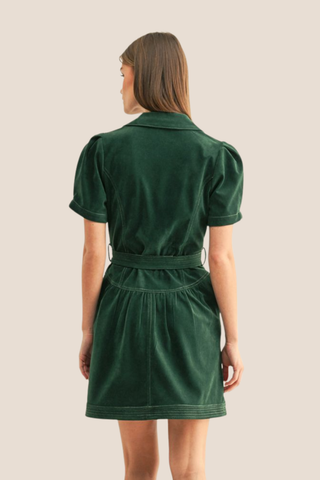 Paige Vegan Suede Mini Dress